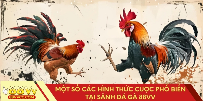 Các hình thức cược phổ biến tại sảnh đá gà 88VV