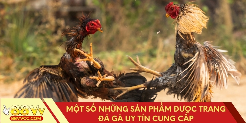 Các sản phẩm nổi bật tại trang đá gà uy tín