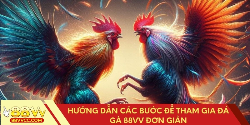 Hướng dẫn tham gia đá gà 88VV đơn giản